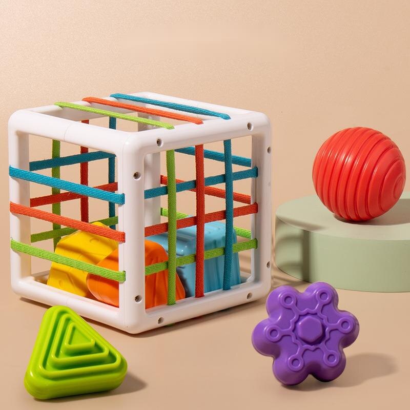 Montessori Toys for 1 Year Olds