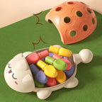 Montessori Shell™- Interactive Shell